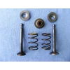 Szelep szett MTD P61, 1P57, 1P51RH, Thorx, 1R61NHB, NP130, Zongshen alk. mtd40po157