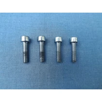 Henger rögzítő csavar szett M5*20 Kasei láncfűrész, permetező alkatrész gb70.1