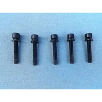 Blokk rögzítő csavar szett Yongjia YD-45, YD-52 láncfűrész alk. YD45-334