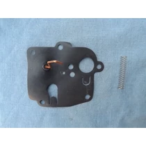 Briggs Membrán, 4 hp, 391681, 02-49-006-4
