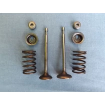 Szelep szett Briggs 450E, MTD 51BC, P46B, CMI, C-B-46 590531-590530-590532