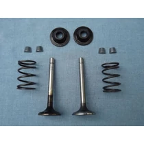 Szelep szett Kasei QGZ50-15-20 vízszivattyú alkatrész 168F/SZ