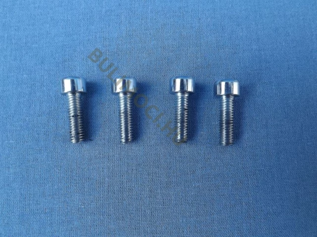 Berántó rögzítő csavar Riwall RPCS5140 set láncf. alk. RPCS5140-218