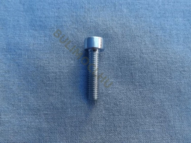 Láncfogó rögzítő csavar Riwall RPCS5140 set, Scheppach, láncf. alk. RPCS5140-222