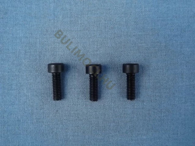 Olajszivattyú ház rögzítő csavar Scheppach BKS5300S láncf. alk. 5300S-421